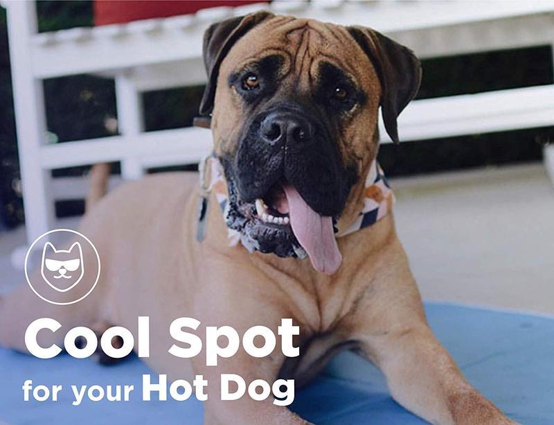 Cooling Pet Pad by The Green Pet Shop InfiniteWags 