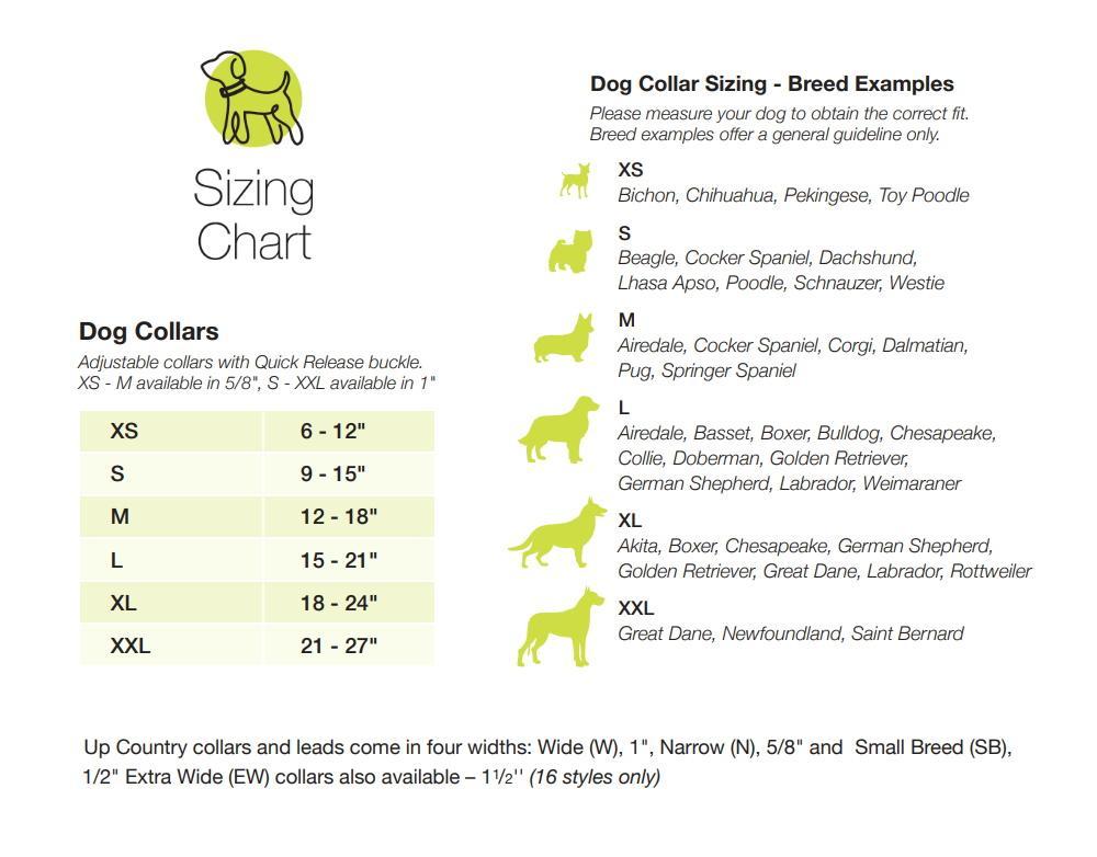 Sunflower Dog Collar - UpCountry Bright Sunflower Collection UpCountryInc 