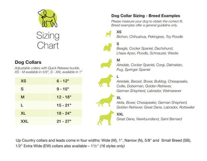 Elephant Dog Collar - UpCountry Leader of the Pach Dog Collar UpCountryInc 