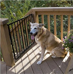 Outdoor Stair Pet Gate - Cardinal Stairway Special Outdoor Pet Gate Pet Gates Cardinal 