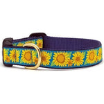 Sunflower Dog Collar - UpCountry Bright Sunflower Collection UpCountryInc 