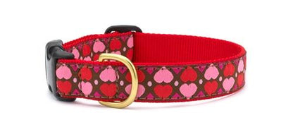 Heart Pattern Dog Collar - UpCountry All Hearts Dog Collar UpCountryInc 