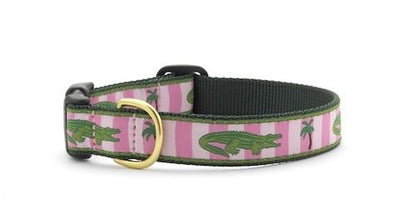 Alligator Dog Collar - UpCountry Alligator Collar UpCountryInc 