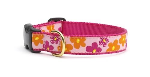 Flower Dog Collar - UpCountry Flower Power Collar UpCountryInc 