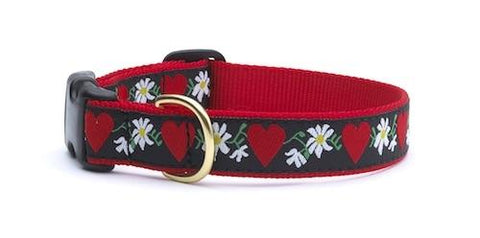 Hearts & Flowers Dog Collar - UpCountry Hearts & Flowers Collar UpCountryInc 