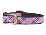 Lavender Dog Collar - UpCountry Lavender Lattice Dog Collar Collection UpCountryInc 