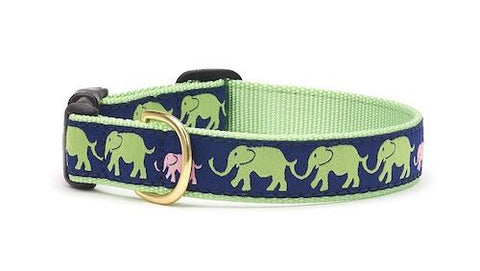 Elephant Dog Collar - UpCountry Leader of the Pach Dog Collar UpCountryInc 