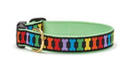 Rainbow Dog Collar - UpCountry Rainbones Dog Collar UpCountryInc 