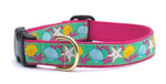 Reef Dog Collar - UpCountry Reef Collection UpCountryInc 