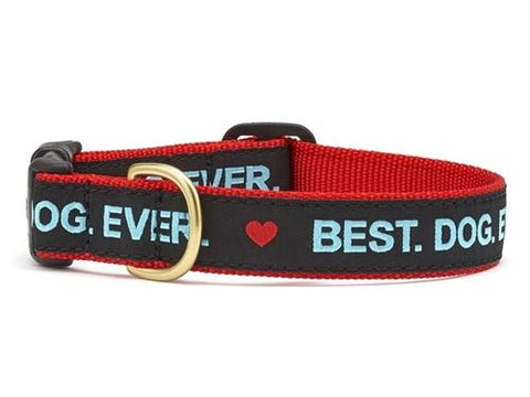 Best Dog Ever Dog Collar - UpCountry Best. Dog. Ever. Dog Collar UpCountryInc 