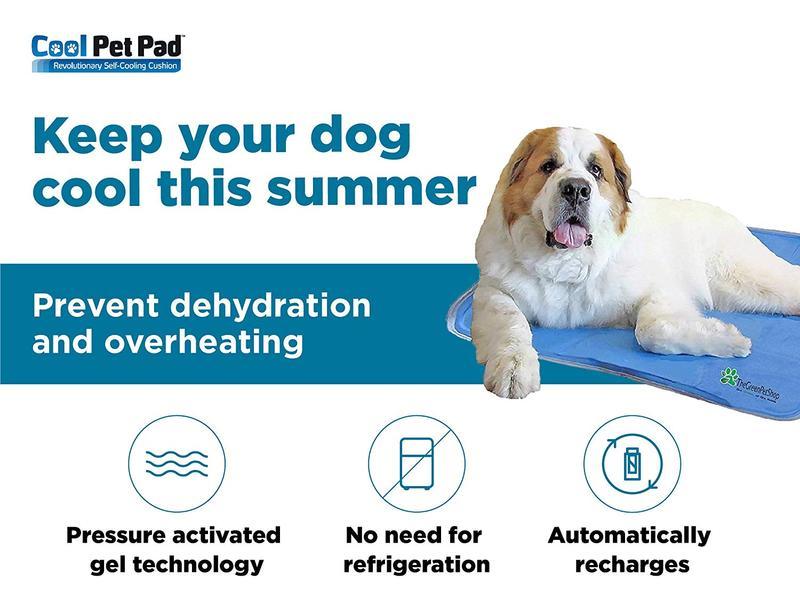 Cooling Pet Pad by The Green Pet Shop InfiniteWags 